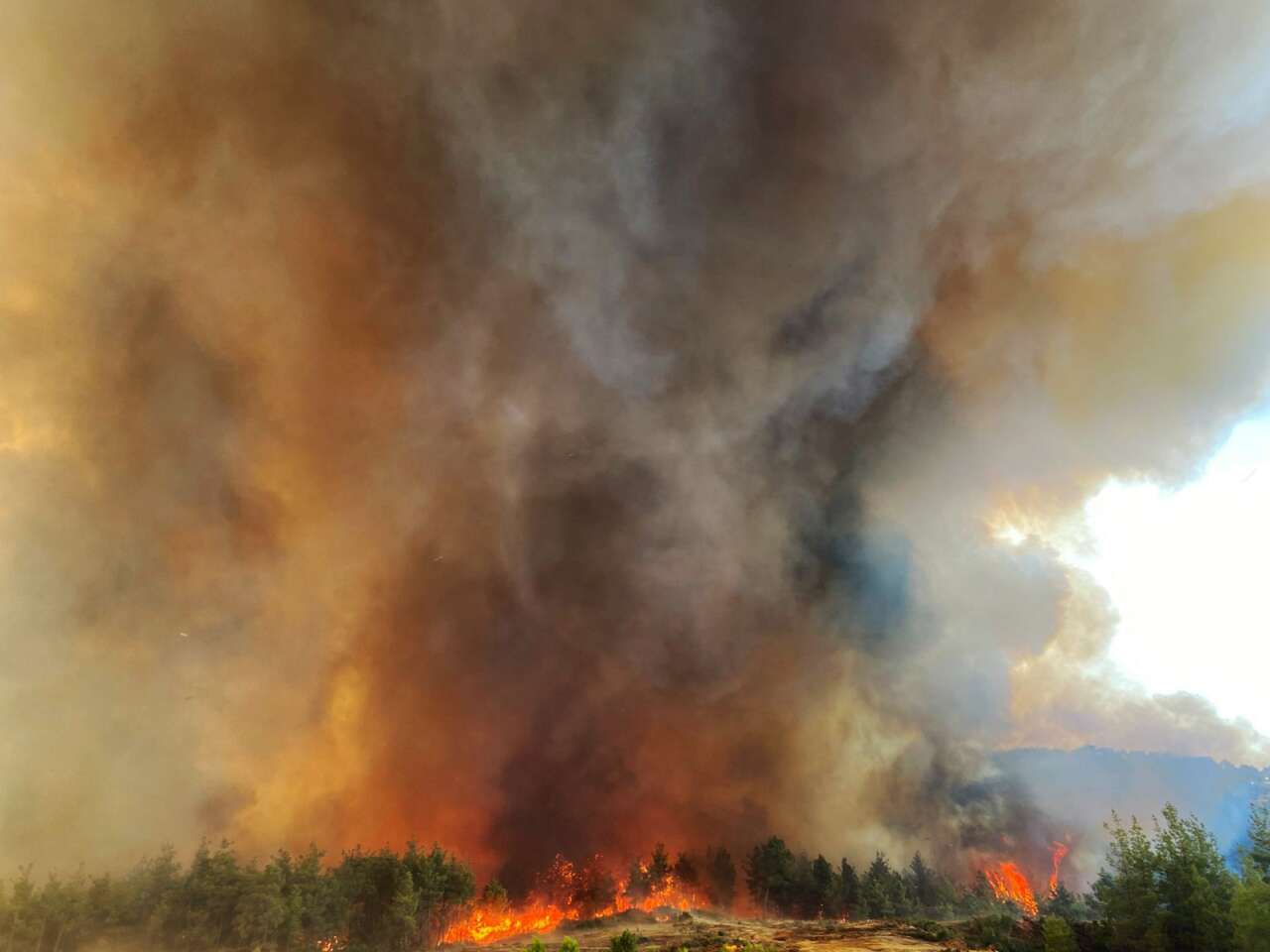 Muğla’da Orman Yangınlarının Acı Tablosu: 3 Yılda Yaklaşık 6 Bin Hektar Alan Kül Oldu 9